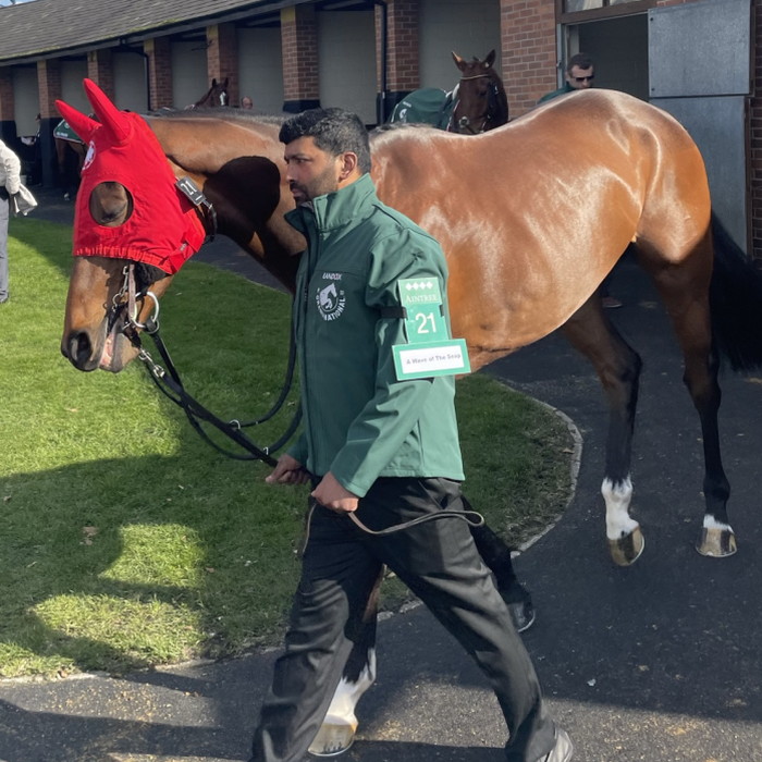 A Wave Of The Sea grand national runner 2023 full body