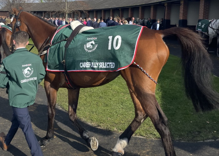 Carefully Selected grand national runner 2023 full body