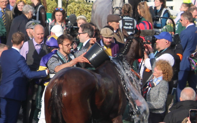 Corach Rambler Parade Ring being cooled down GN 2023