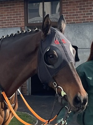 Dunboyne Grand National 2023 head close up