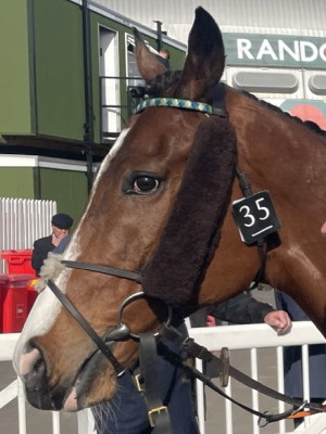 Our Power grand national 2023 runner head close up