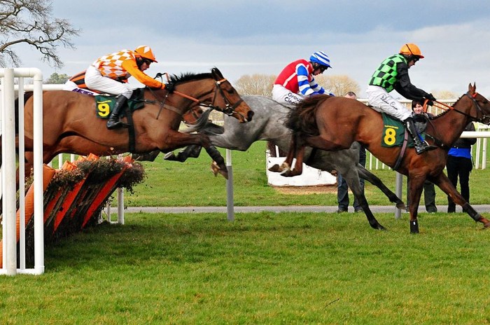 Horses Jumping the Fences
