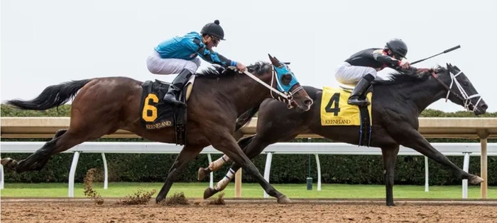 Jockey Using Whip Increasing Speed