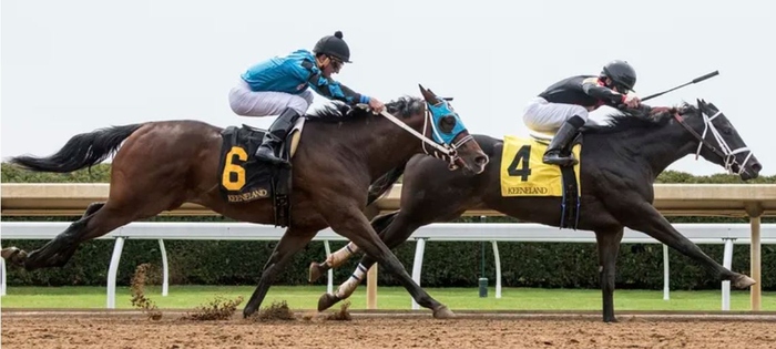 Jockey Using Whip Increasing Speed