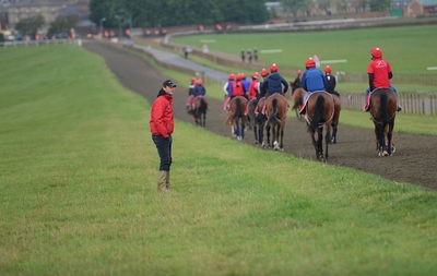 Race Horse Trainer