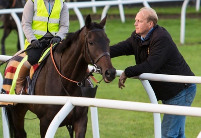 Race Horse Trainer Conviction