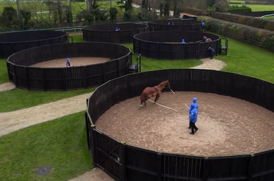 Race Horse Training