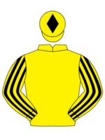 silk yellow black and yellow striped sleeves yellow cap black diamond