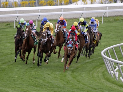 Field Size in Horse Racing