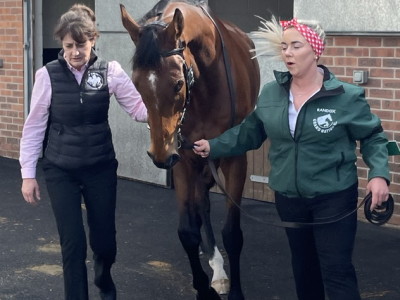 horse at Aintree with stable hands