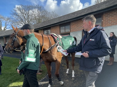 horse security and health checks at Aintree