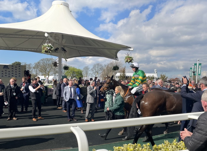 horse at the grand national in parade ring post race 2023