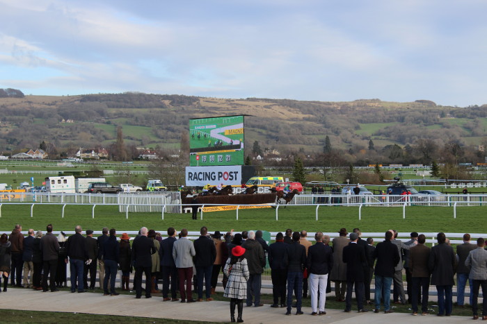 horses racing at Cheltenham