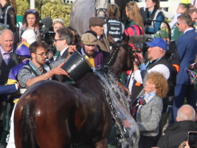 Corach Rambler being cooled down with owners crowded around him