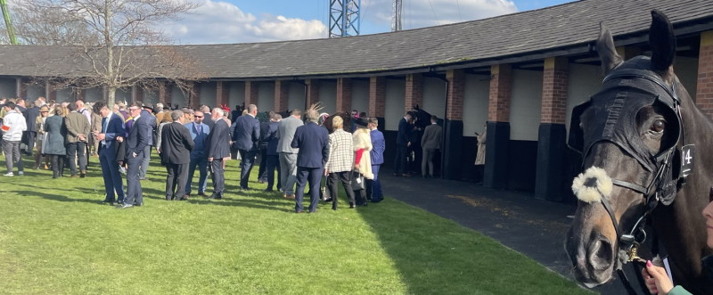Racehorse owners in a cluster in pre parade ring