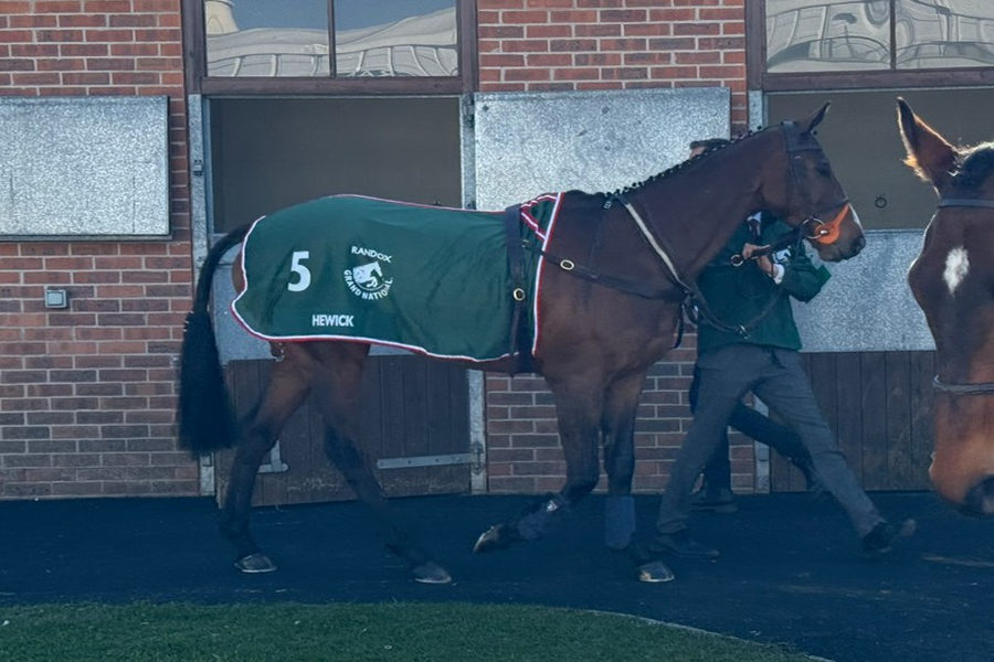 Hewick Horse