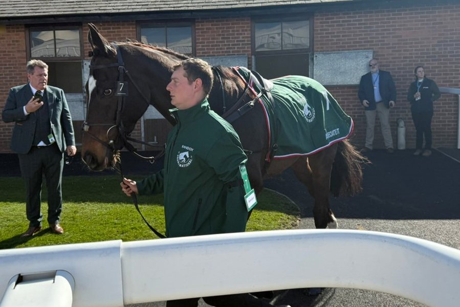 Appreciate It Horse 2025