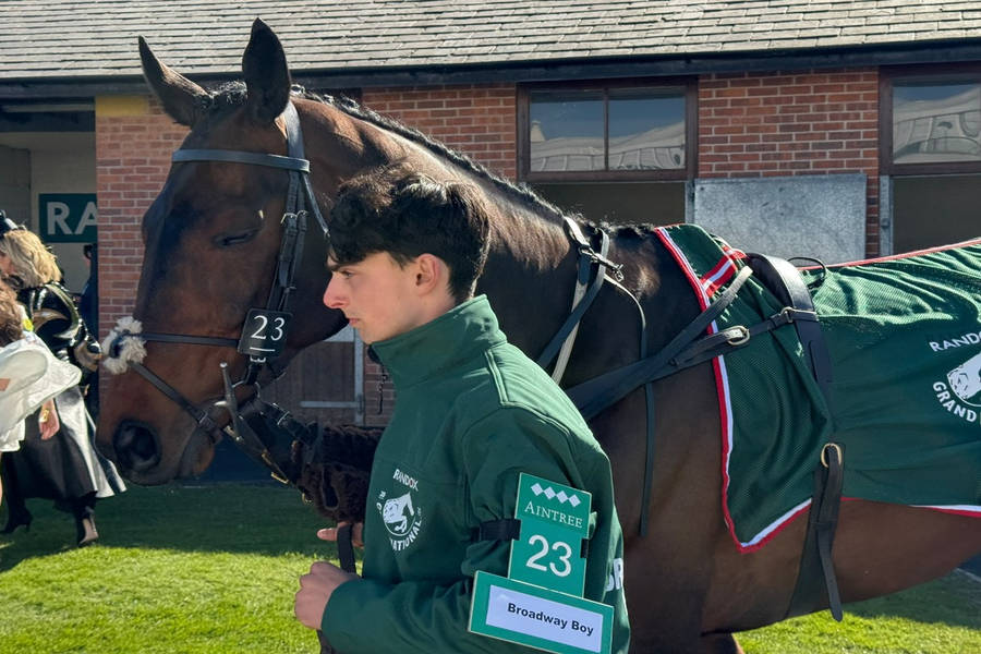 Broadway Boy Horse 2025