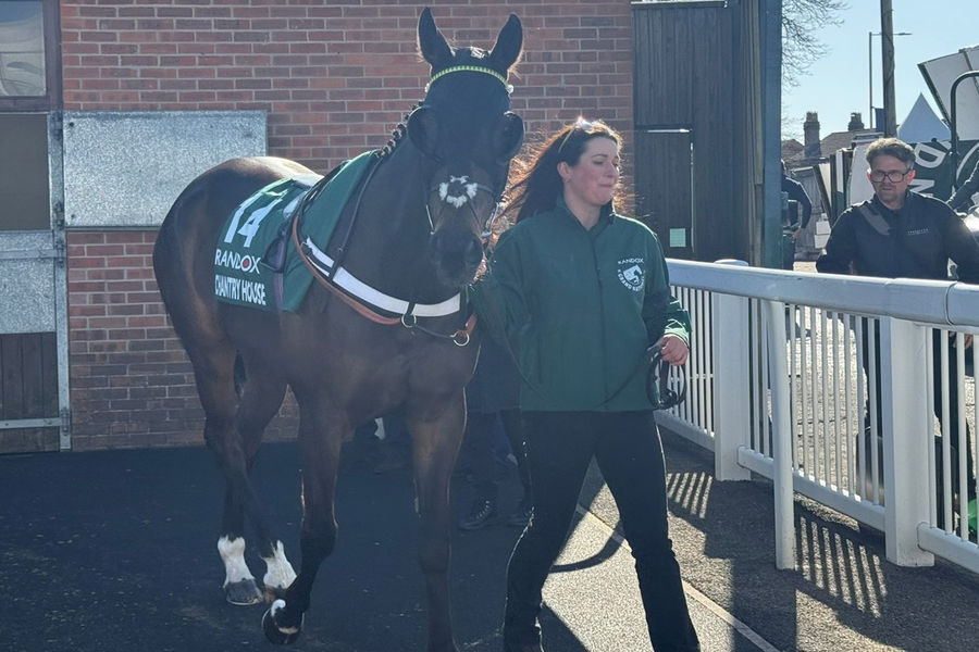 Chantry House Horse 2025