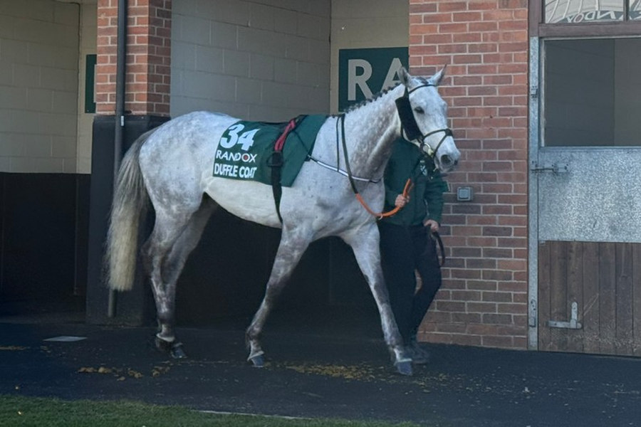 Duffle Coat Horse 2025