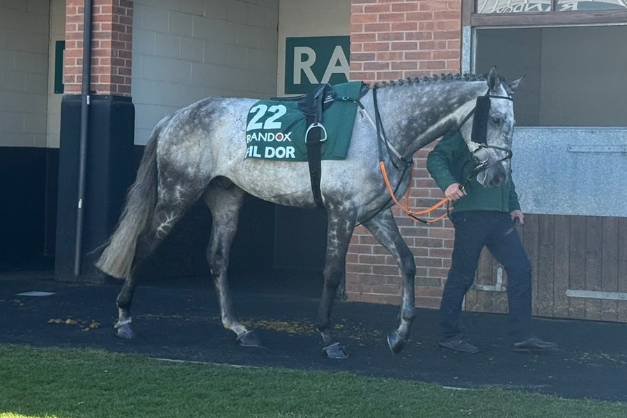 Fil Dor Horse 2025