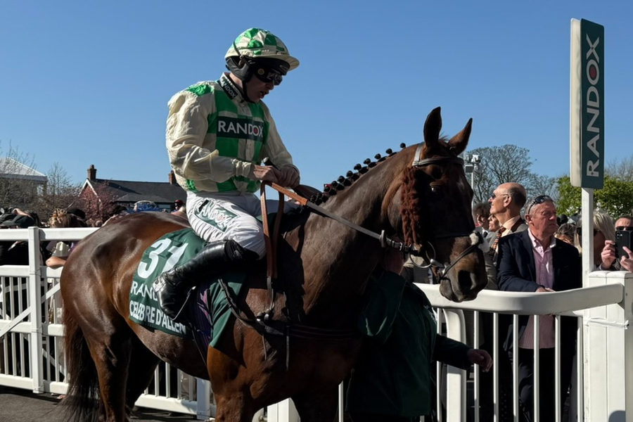Micheal Nolan Jockey 2025