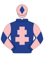 dark blue pink cross of lorraine pink and blue diablo sleeved pin cap blue diamond