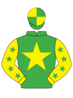 green yellow star yellow sleeves green stars yellow and green quartered cap