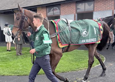 i am maximus ahead of the 2026 grand national race
