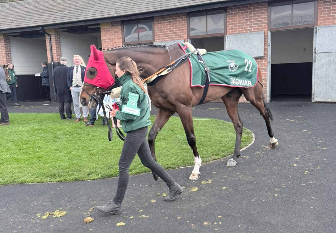 Jagwar Grand National 2026