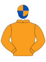 orange blue and orange quartered cap