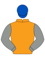 orange grey sleeves blue cap