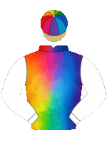 rainbow colour jockey silks