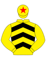 yellow black chevrons yellow cap red star