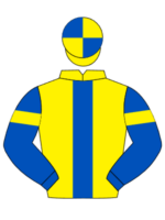 yellow blue panel blue sleeves yellow armlet yellow and blue quartered cap